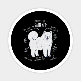 Samoyed Dog Anatomy Magnet